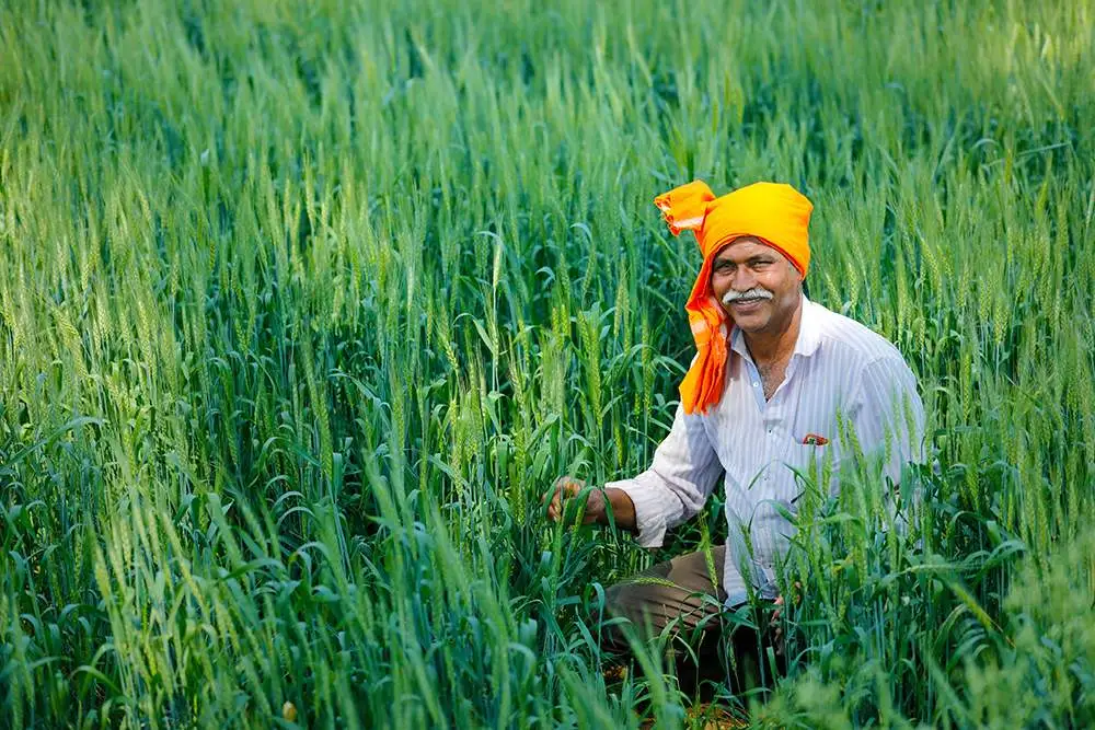 otu india jobs portal | online job search | blue collar jobs vacancy Agriculture Opportunities in Rural India