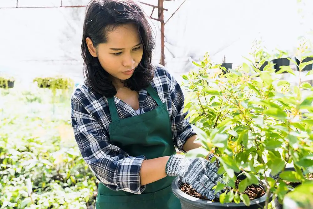 otu india jobs portal | online job search | blue collar jobs vacancy Women Empowerment Opportunities in Rural India 2023